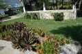 Foliage with hot tub